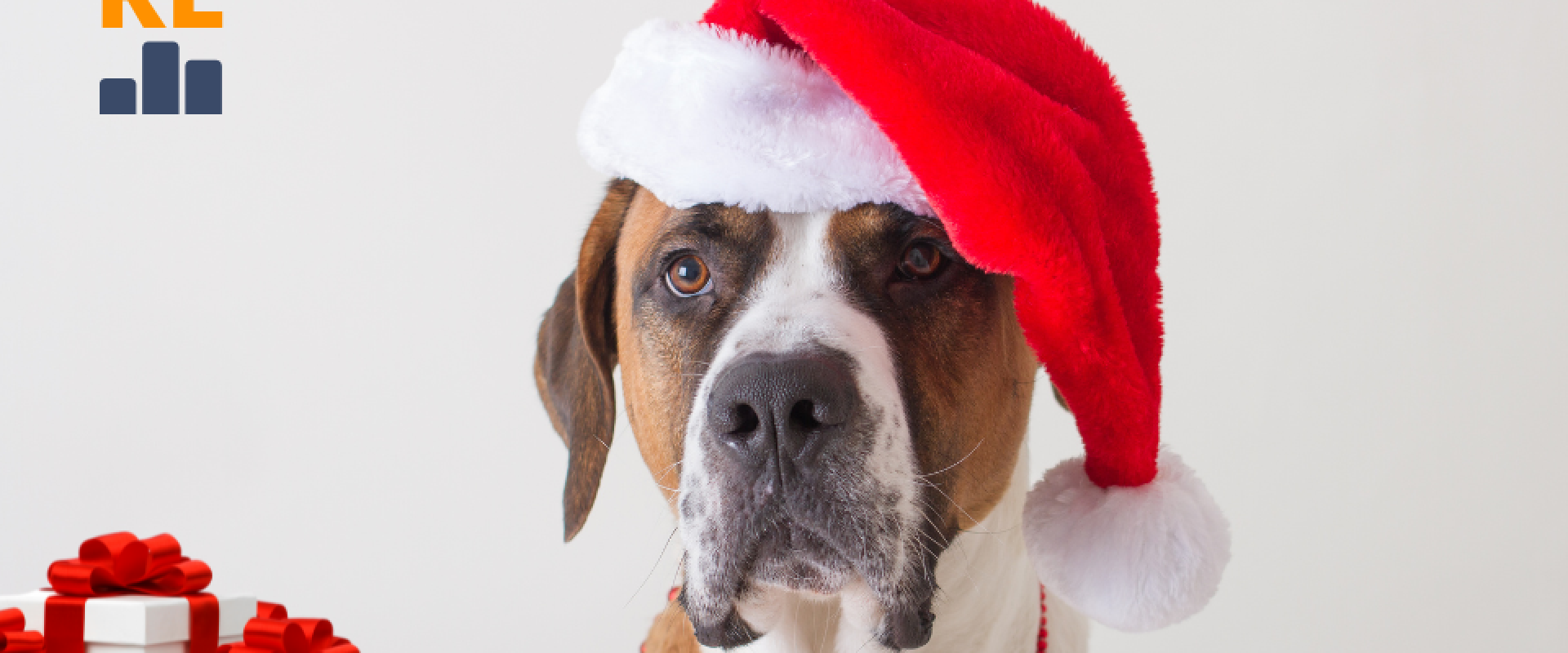 prezent dla psa na swięta